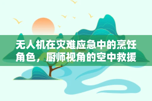 无人机在灾难应急中的烹饪角色，厨师视角的空中救援
