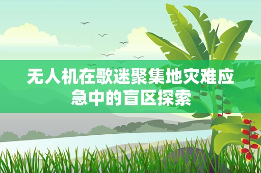 无人机在歌迷聚集地灾难应急中的盲区探索