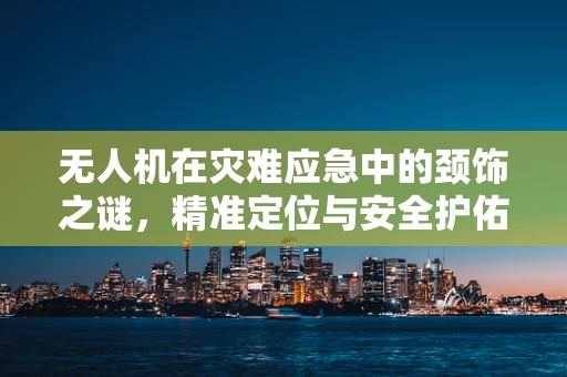 无人机在灾难应急中的颈饰之谜，精准定位与安全护佑的双重挑战