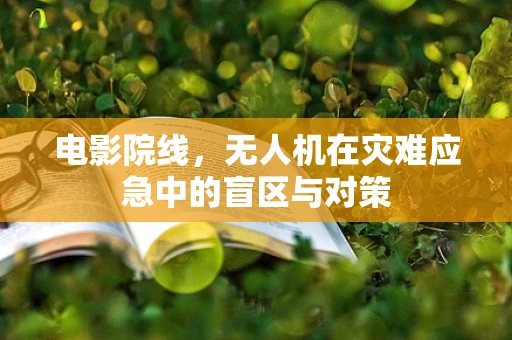 电影院线，无人机在灾难应急中的盲区与对策
