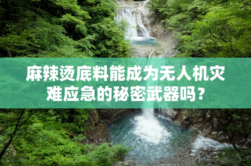 麻辣烫底料能成为无人机灾难应急的秘密武器吗？