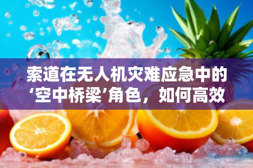 索道在无人机灾难应急中的‘空中桥梁’角色，如何高效搭建与维护？