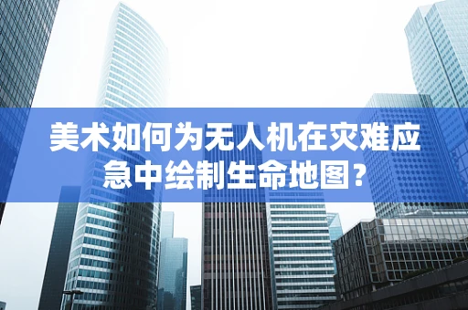 美术如何为无人机在灾难应急中绘制生命地图？