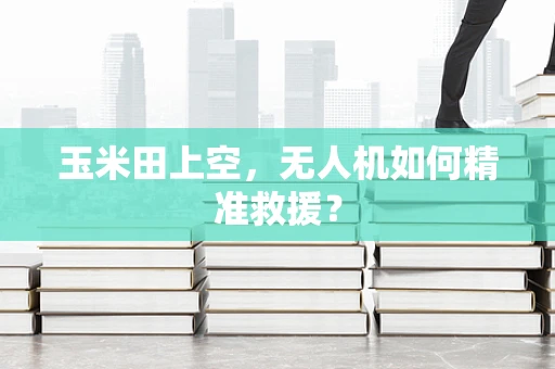 玉米田上空，无人机如何精准救援？
