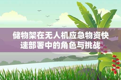 储物架在无人机应急物资快速部署中的角色与挑战