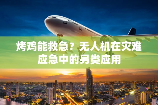 烤鸡能救急？无人机在灾难应急中的另类应用