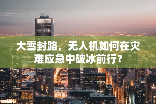大雪封路，无人机如何在灾难应急中破冰前行？