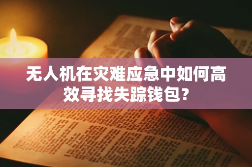 无人机在灾难应急中如何高效寻找失踪钱包？