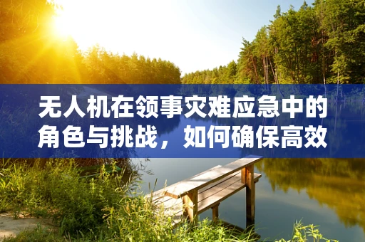 无人机在领事灾难应急中的角色与挑战，如何确保高效、安全的信息传递？