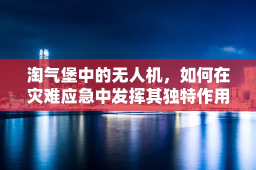 淘气堡中的无人机，如何在灾难应急中发挥其独特作用？