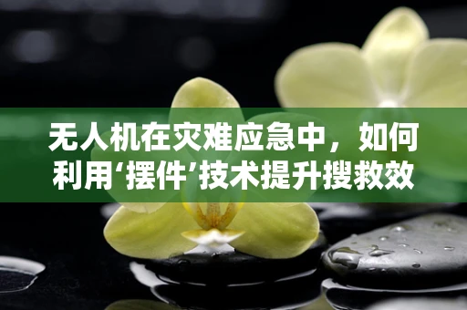 无人机在灾难应急中，如何利用‘摆件’技术提升搜救效率？