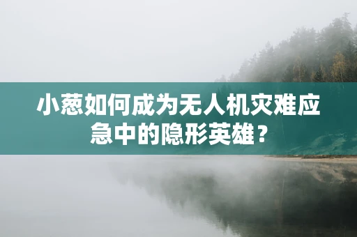 小葱如何成为无人机灾难应急中的隐形英雄？