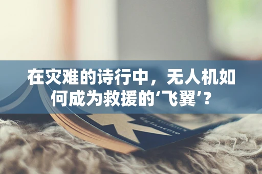 在灾难的诗行中，无人机如何成为救援的‘飞翼’？