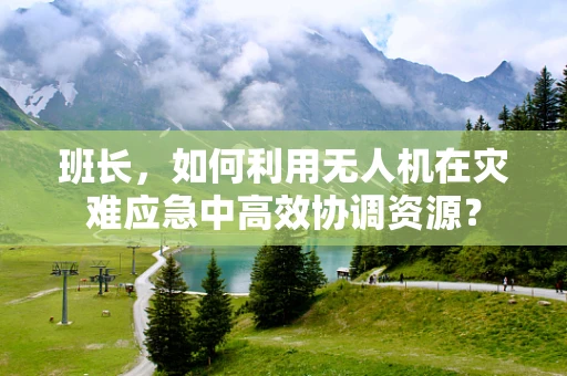 班长，如何利用无人机在灾难应急中高效协调资源？