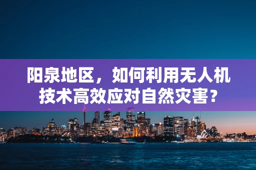 阳泉地区，如何利用无人机技术高效应对自然灾害？