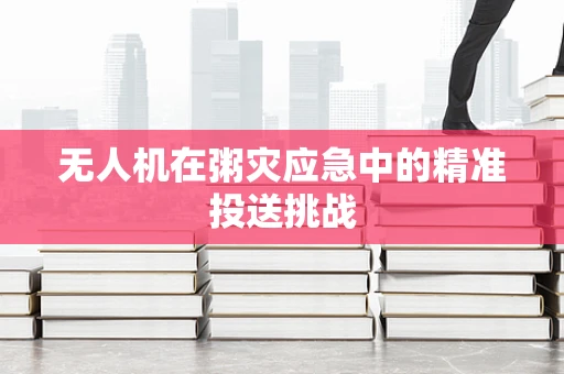 无人机在粥灾应急中的精准投送挑战