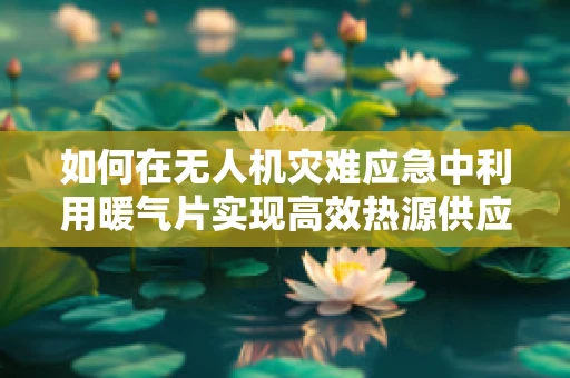 如何在无人机灾难应急中利用暖气片实现高效热源供应？