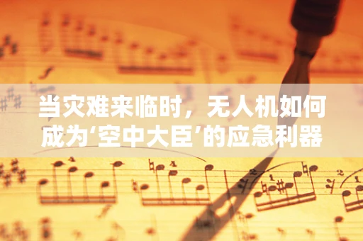 当灾难来临时，无人机如何成为‘空中大臣’的应急利器？