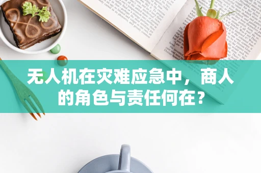 无人机在灾难应急中，商人的角色与责任何在？