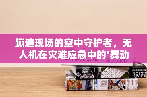 蹦迪现场的空中守护者，无人机在灾难应急中的‘舞动’角色？