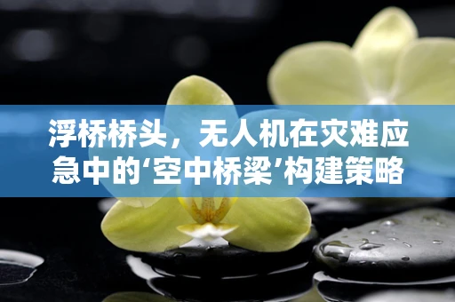 浮桥桥头，无人机在灾难应急中的‘空中桥梁’构建策略？