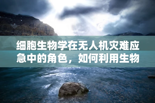 细胞生物学在无人机灾难应急中的角色，如何利用生物标志物提升救援效率？