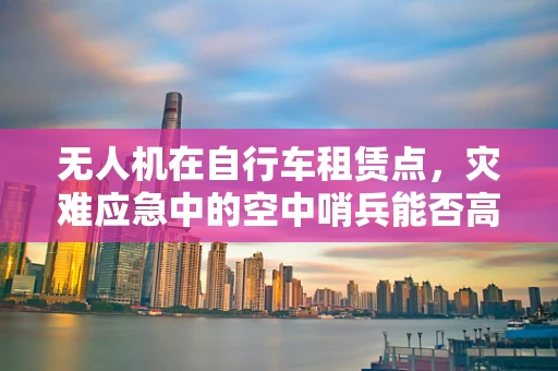 无人机在自行车租赁点，灾难应急中的空中哨兵能否高效发挥作用？
