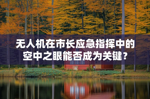 无人机在市长应急指挥中的空中之眼能否成为关键？