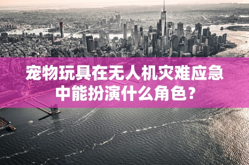 宠物玩具在无人机灾难应急中能扮演什么角色？