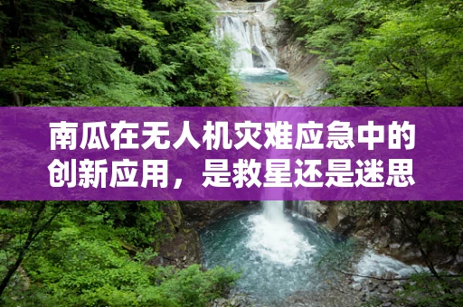 南瓜在无人机灾难应急中的创新应用，是救星还是迷思？