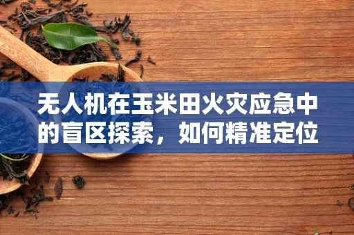 无人机在玉米田火灾应急中的盲区探索，如何精准定位与高效救援？