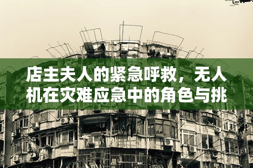 店主夫人的紧急呼救，无人机在灾难应急中的角色与挑战