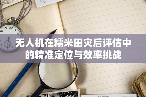 无人机在糯米田灾后评估中的精准定位与效率挑战