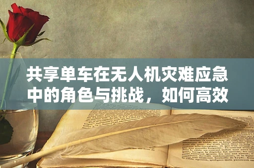 共享单车在无人机灾难应急中的角色与挑战，如何高效利用？