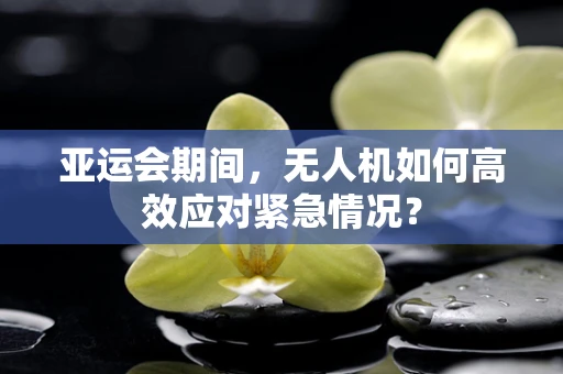 亚运会期间，无人机如何高效应对紧急情况？