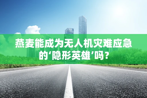 燕麦能成为无人机灾难应急的‘隐形英雄’吗？