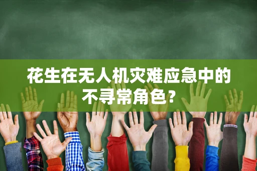 花生在无人机灾难应急中的不寻常角色？