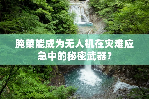 腌菜能成为无人机在灾难应急中的秘密武器？