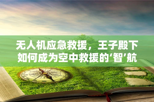 无人机应急救援，王子殿下如何成为空中救援的‘智’航者？