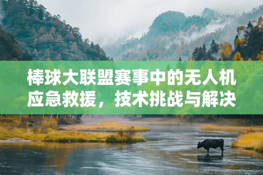 棒球大联盟赛事中的无人机应急救援，技术挑战与解决方案