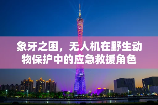 象牙之困，无人机在野生动物保护中的应急救援角色