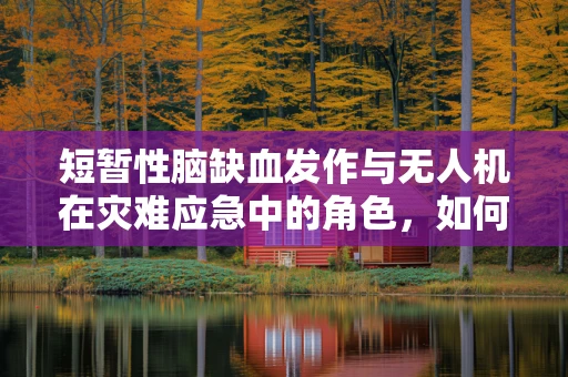 短暂性脑缺血发作与无人机在灾难应急中的角色，如何快速响应？