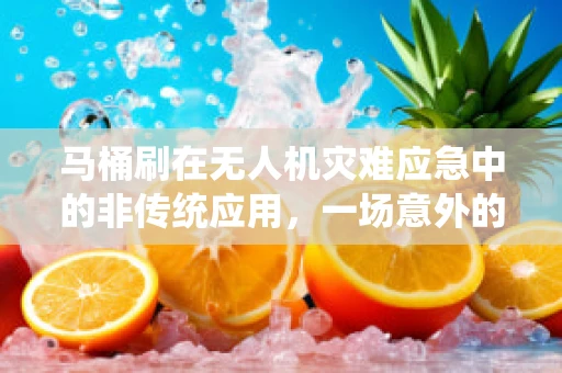 马桶刷在无人机灾难应急中的非传统应用，一场意外的创新启示？