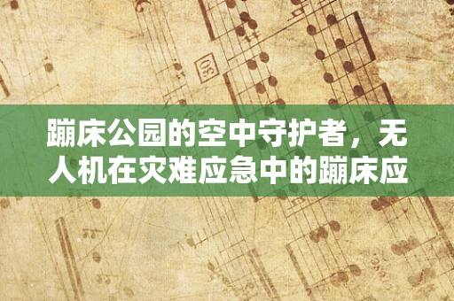 蹦床公园的空中守护者，无人机在灾难应急中的蹦床应用挑战