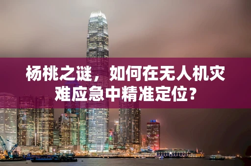 杨桃之谜，如何在无人机灾难应急中精准定位？