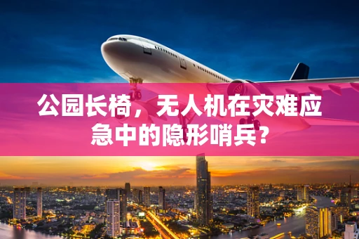 公园长椅，无人机在灾难应急中的隐形哨兵？