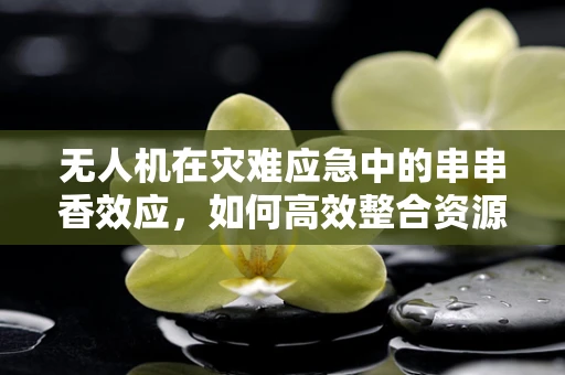 无人机在灾难应急中的串串香效应，如何高效整合资源？
