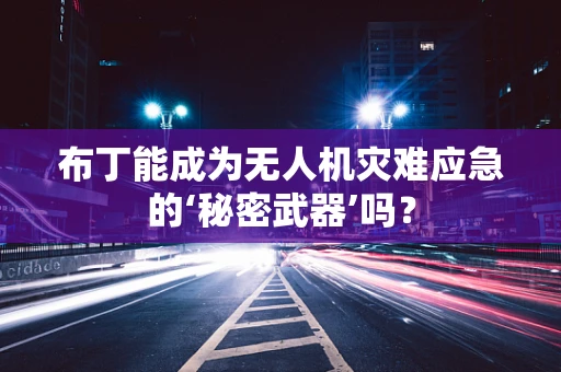 布丁能成为无人机灾难应急的‘秘密武器’吗？