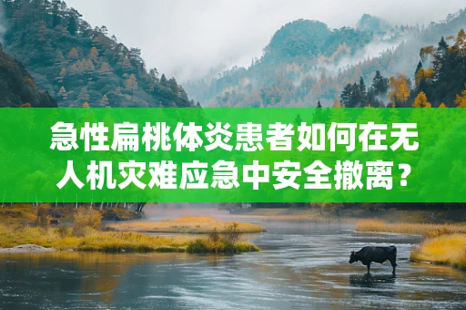 急性扁桃体炎患者如何在无人机灾难应急中安全撤离？