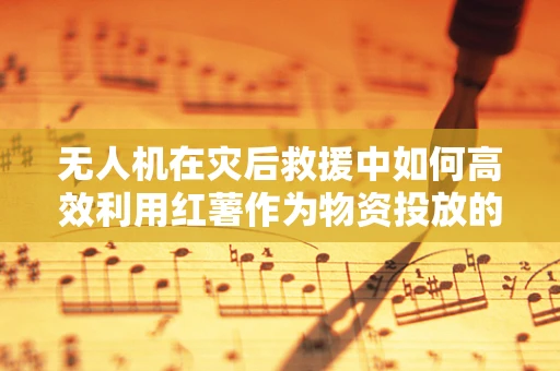 无人机在灾后救援中如何高效利用红薯作为物资投放的智能识别与定位？